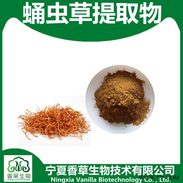 蛹虫草粉97% 香草生物供应蛹虫草多糖 虫草提取液图8