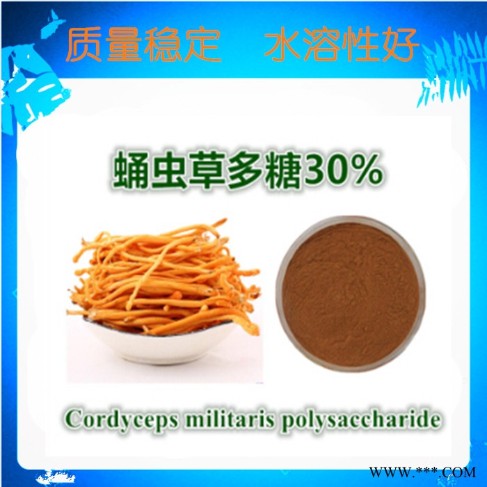 蛹虫草粉 北冬虫夏草粉 高腺苷液相检测 含虫草素 蛹虫草提取物图5