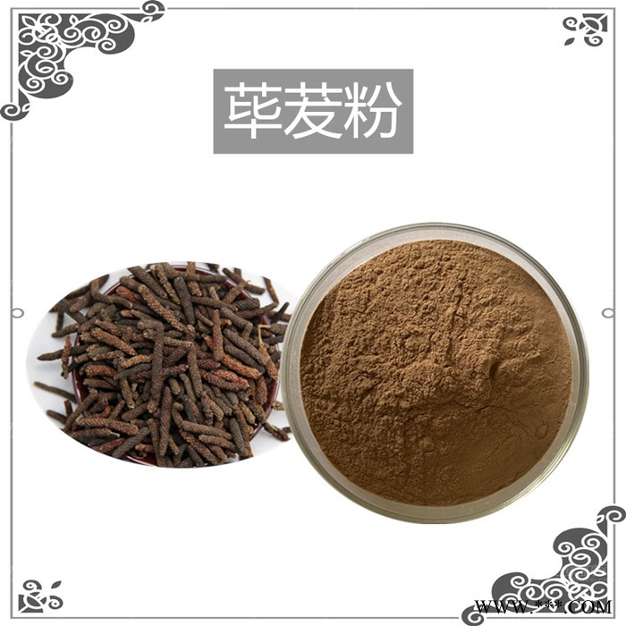 斯诺特生产 天麻粉 天麻浓缩粉 天麻萃取物图3