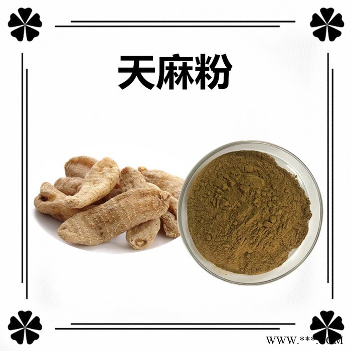 斯诺特生产 天麻粉 天麻浓缩粉 天麻萃取物图4