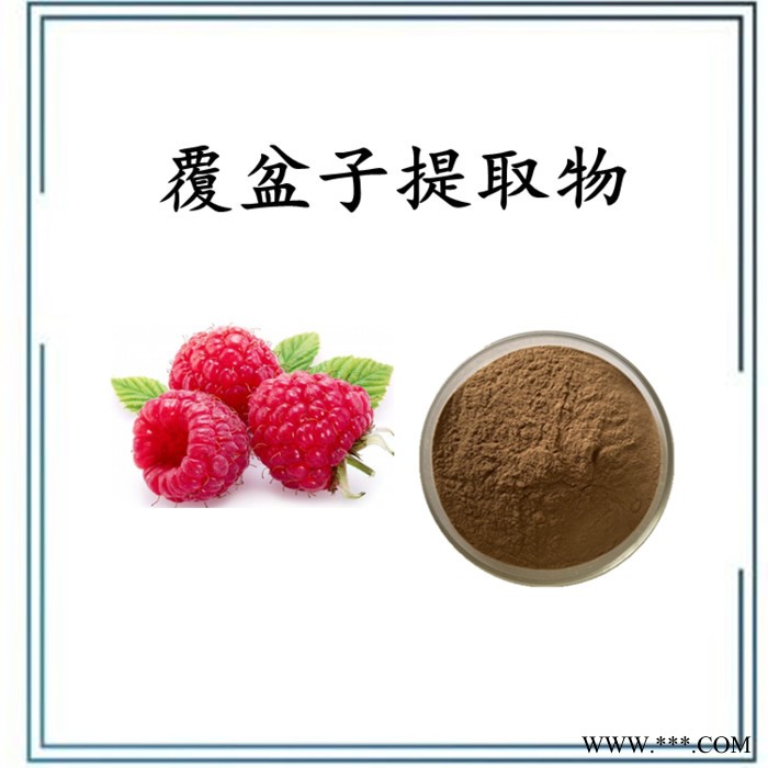 天麻提取物 天麻浸膏粉 水溶 可定制图3