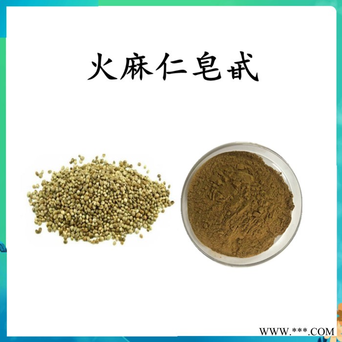 扶风斯诺特  天麻破壁粉 天麻粉  水溶   可定制图2