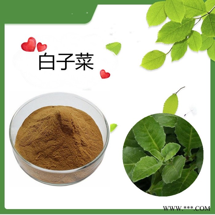 天麻提取物   速溶  可定制   斯诺特生物图2