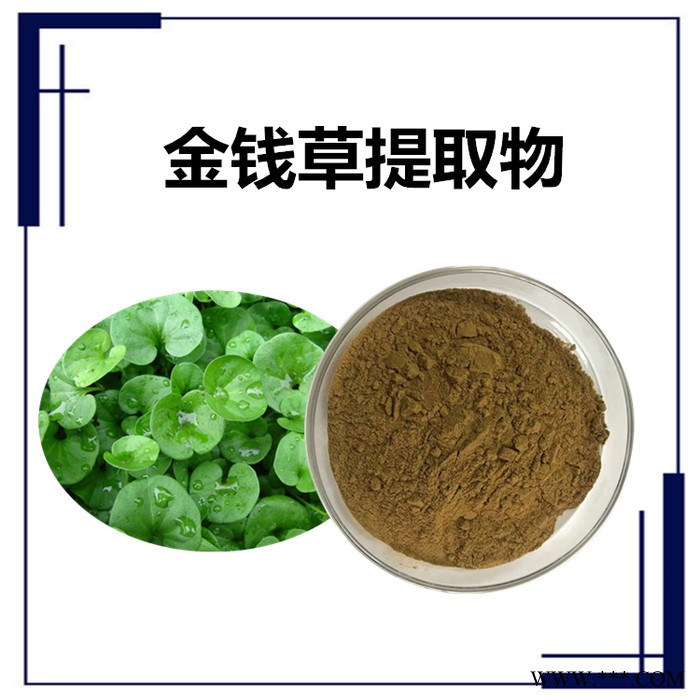 扶风斯诺特 天麻提取物 天麻浸膏粉 10:1 天麻浓缩粉图3