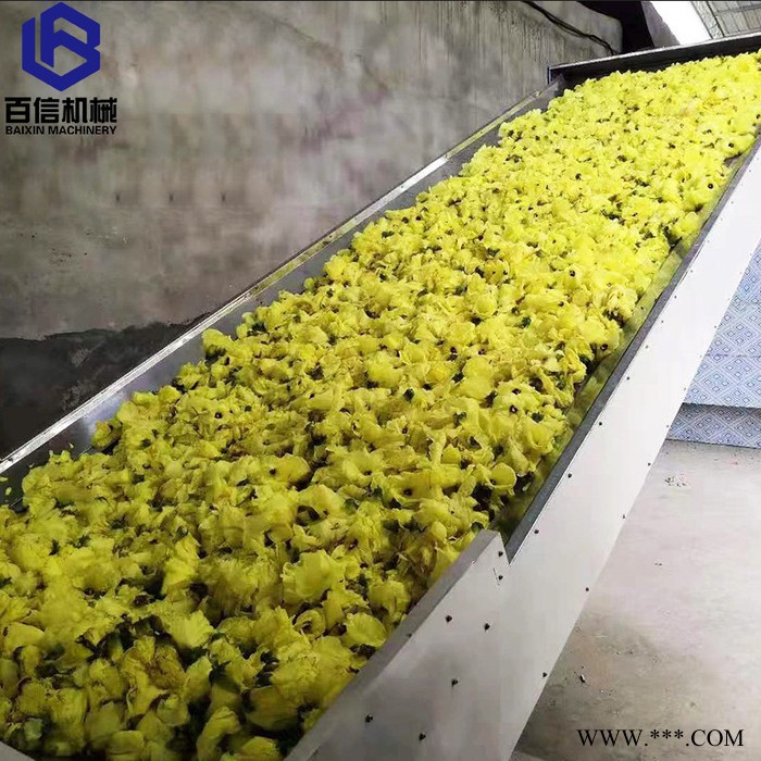 河南百信多层带玛卡烘干设备  大型玛卡烘干机   连续式玛卡脱水设备图3