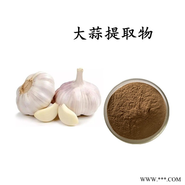 板蓝根提取物 板蓝根浸膏粉   10:1  可定制图3