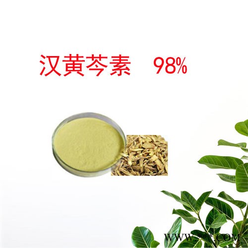 黄芩提取物  汉黄芩素 98%  植物提取物图3