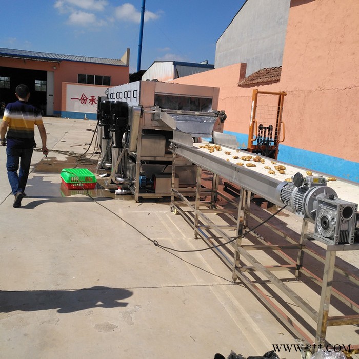 义康PL-5000型 柚子高压喷淋清洗机 黄连喷淋清洗设备 茄子喷淋清洗机图6