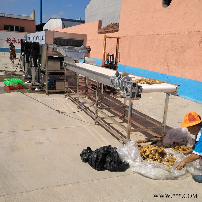 义康PL-5000型 柚子高压喷淋清洗机 黄连喷淋清洗设备 茄子喷淋清洗机图3