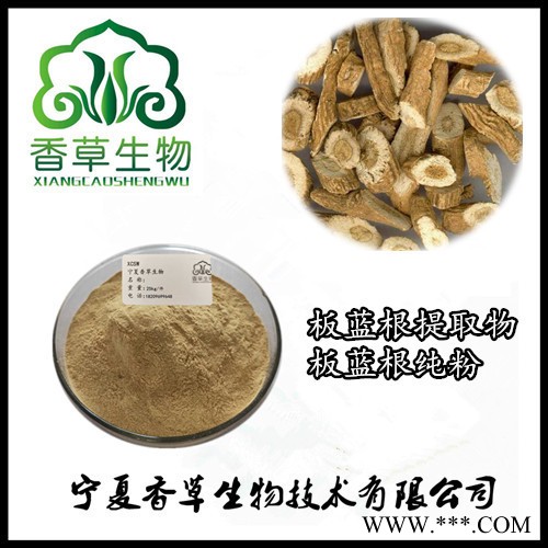 宁夏厂家供应板蓝根粉 板蓝根纯粉经销商图2