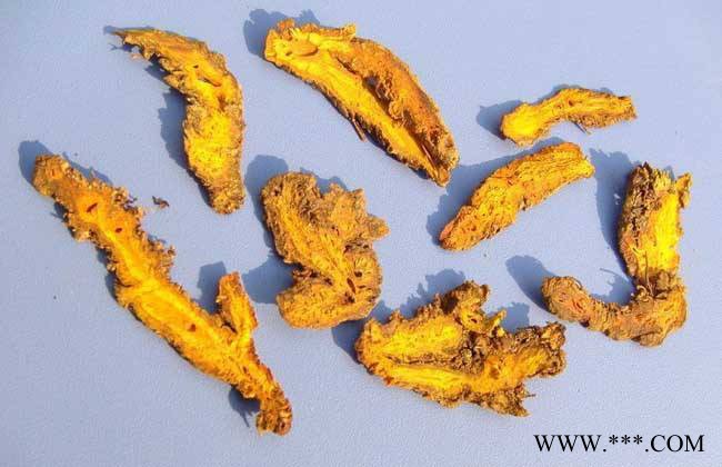 黄连 黄氏  黄花 价格  钱 好图2