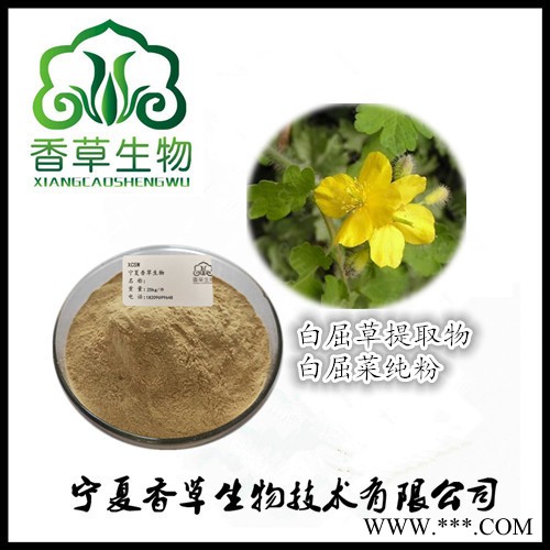 白屈菜提取物20:1 厂家批发地黄连粉 断肠草全粉白屈菜浓缩液现货图3