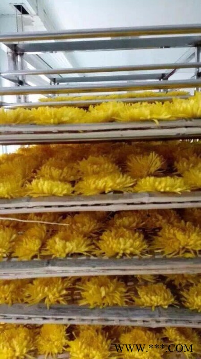 云南玛卡价格_YKP易立诺YK-72RD玛卡烘干机图7