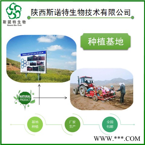 斯诺特双黄连提取物批发图2