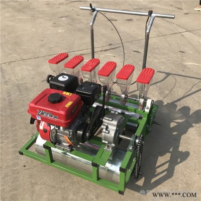 广东潮州 板蓝根播种机 汽油播种机 厂家