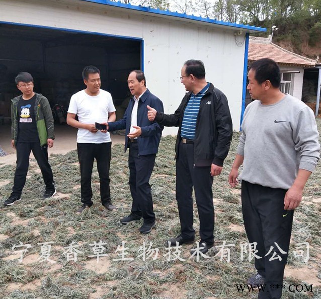 玛卡粉96% 宁夏香草生物批发黑玛卡粉 黄玛咖原料粉现货图6