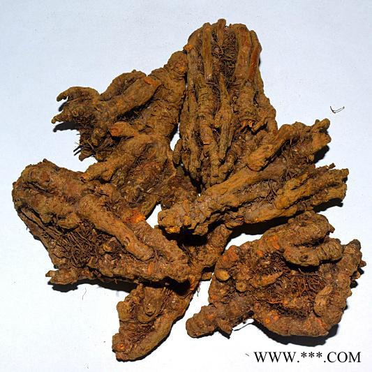 盐酸黄连素  植物提取物图3