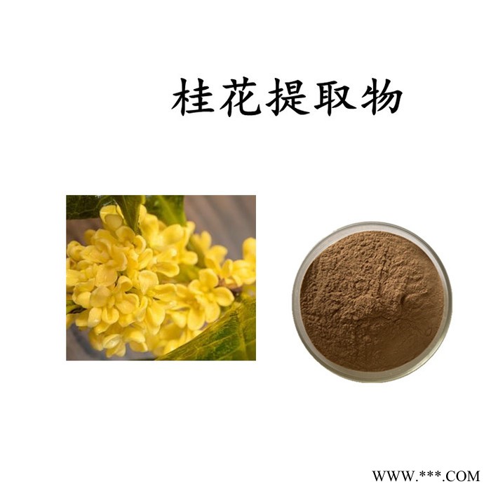 板蓝根提取物 板蓝根浸膏粉  水溶 可定制图2