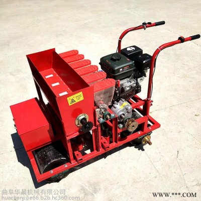 大型板蓝根精播机 8行板蓝根播种机  板蓝根点播机