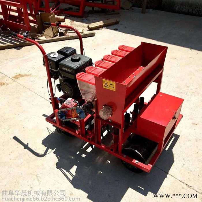 大型板蓝根精播机 8行板蓝根播种机  板蓝根点播机图8