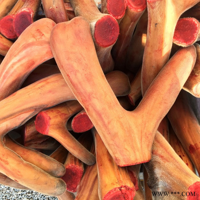 全蜡鹿茸玛卡鹿鞭鹿茸泡酒图2