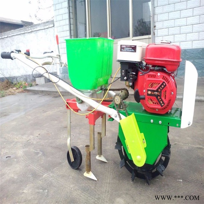 药材播种机 中药材播种机 板蓝根白芷黄芪蓝根蒲公英播种机图5