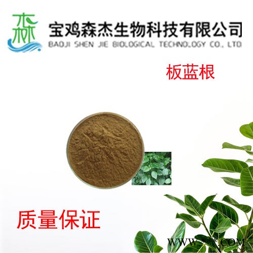 森杰生物   板蓝根提取物    10：1   植物提取物图2