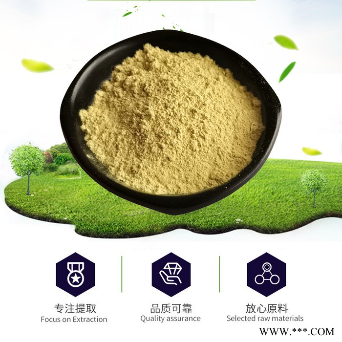 黄芩苷 85%厂家现货 黄芩提取物 欢迎询价 1kg起订图2