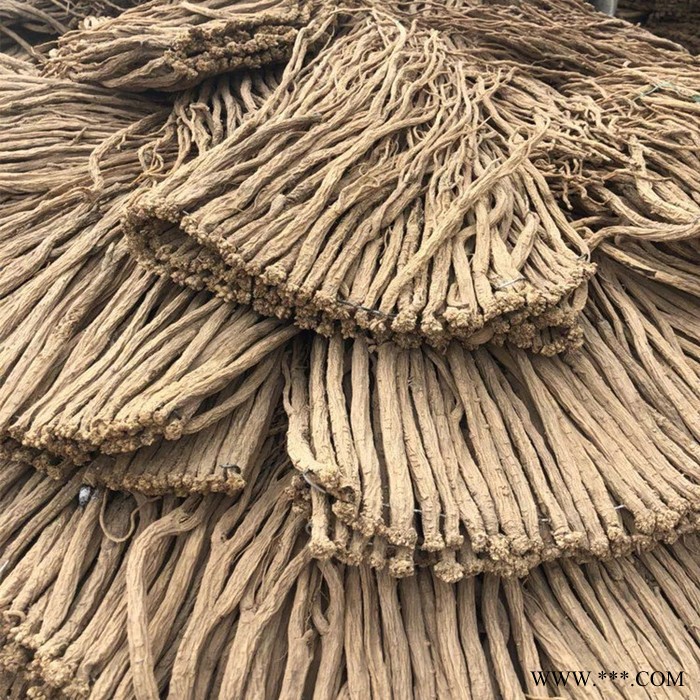 斯诺特 党参粉 党参喷雾干燥粉 厂家发货图3