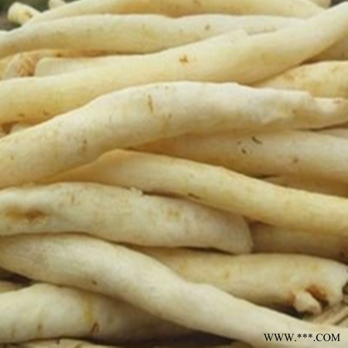 明党参速溶粉 明党参浓缩粉 厂家发货 斯诺特图3