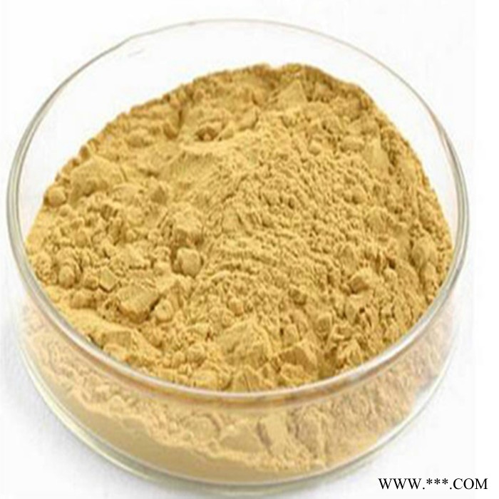 明党参速溶粉 明党参浓缩粉 厂家发货 斯诺特图2