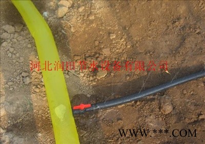 广安武胜县黄连节水膜下喷水带厂家图4