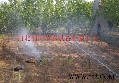 广安武胜县黄连节水膜下喷水带厂家图6