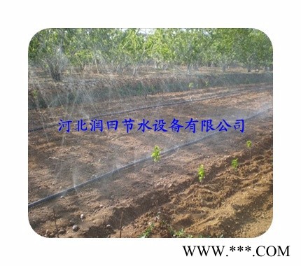 广安武胜县黄连节水膜下喷水带厂家图7