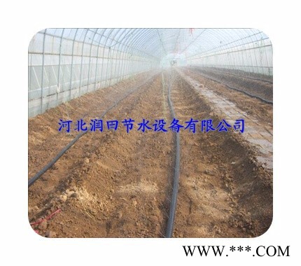 广安武胜县黄连节水膜下喷水带厂家图3