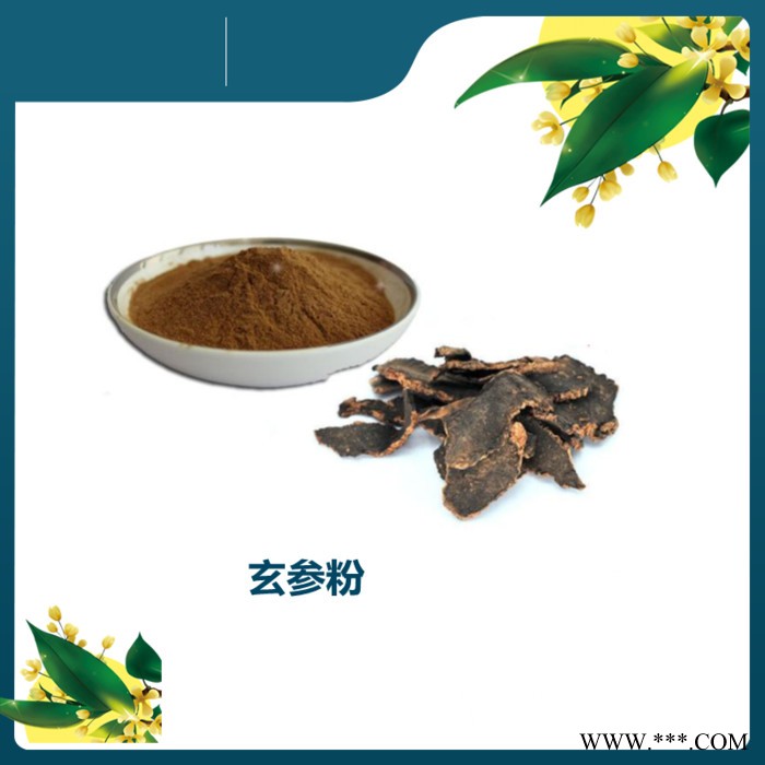 斯诺特 板蓝根提取物 库存量大 板蓝根粉 工厂发货图3