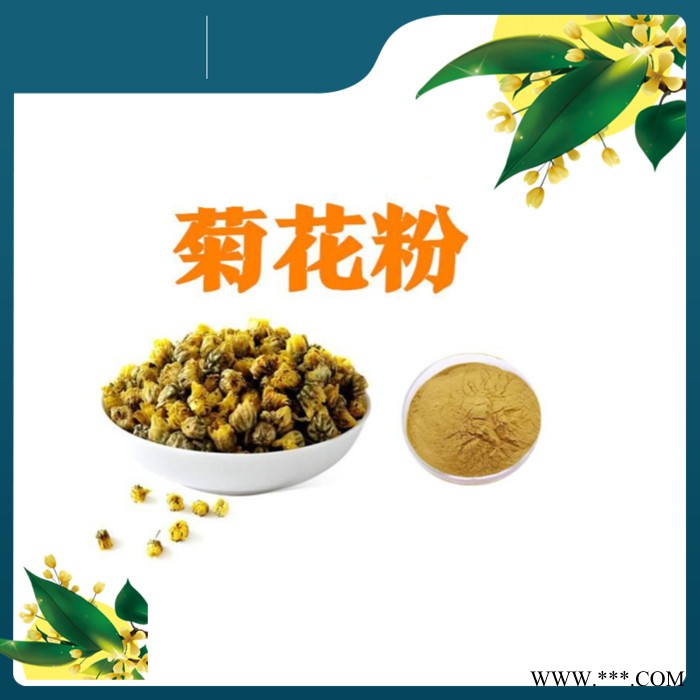 斯诺特 板蓝根提取物 库存量大 板蓝根粉 工厂发货图4