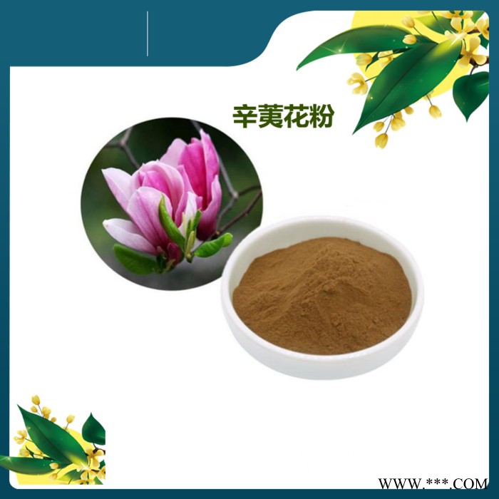 斯诺特 板蓝根提取物 库存量大 板蓝根粉 工厂发货图6