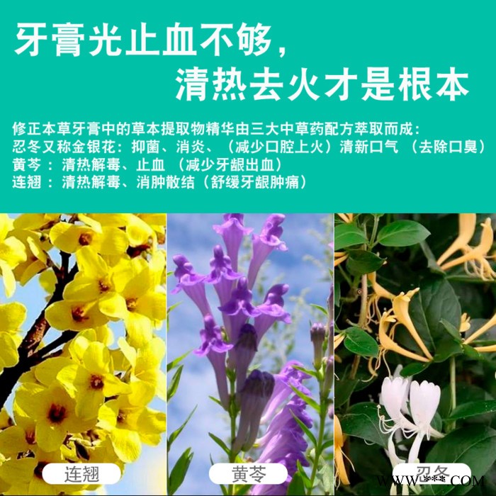 海风薄荷70g 修正草本精华牙膏 与双黄连主要成分相同 抑菌美白 招代理 批发 礼品渠道图2