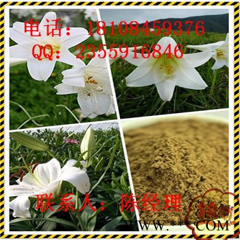 药用特菜板蓝根  厂家-湖北远成赛创科技有限公司 药用特菜板蓝根图3