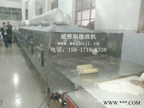 威雅斯黄芩药材微波烘干设备图3