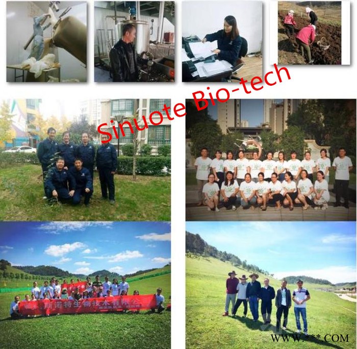 斯诺特  黑玛咖提取物  黑玛卡粉  食品原料   新资源食品图2