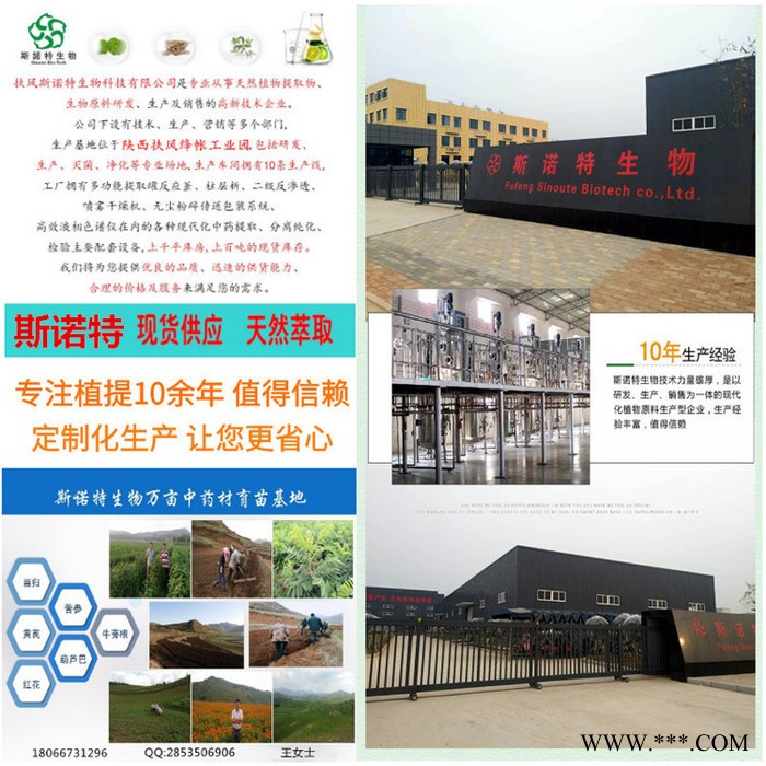 斯诺特  黑玛咖提取物  黑玛卡粉  食品原料   新资源食品图4