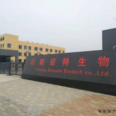 板蓝根提取物       订制板蓝根浸膏