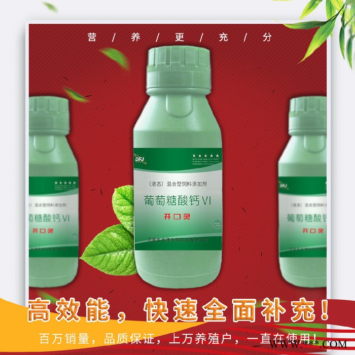 板蓝根做小鸡开口药图3