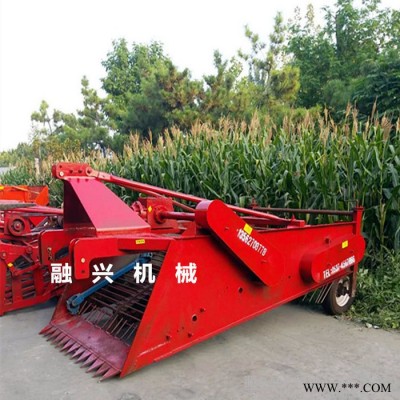 钟祥白芷挖掘机/香附子收获机** 板蓝根收获机 丹参收获机厂家