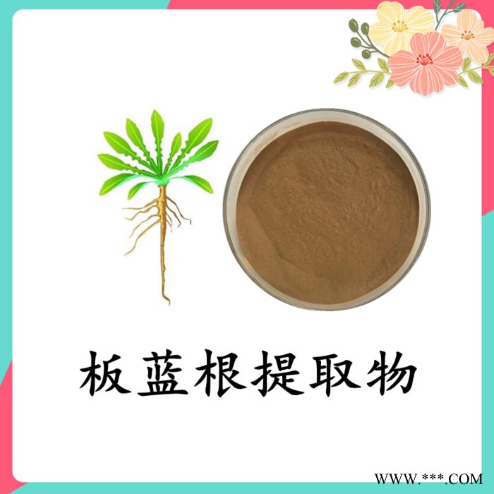 板蓝根提取物 可定制 斯诺特图4