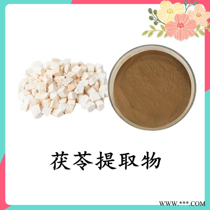 板蓝根提取物 可定制 斯诺特图2