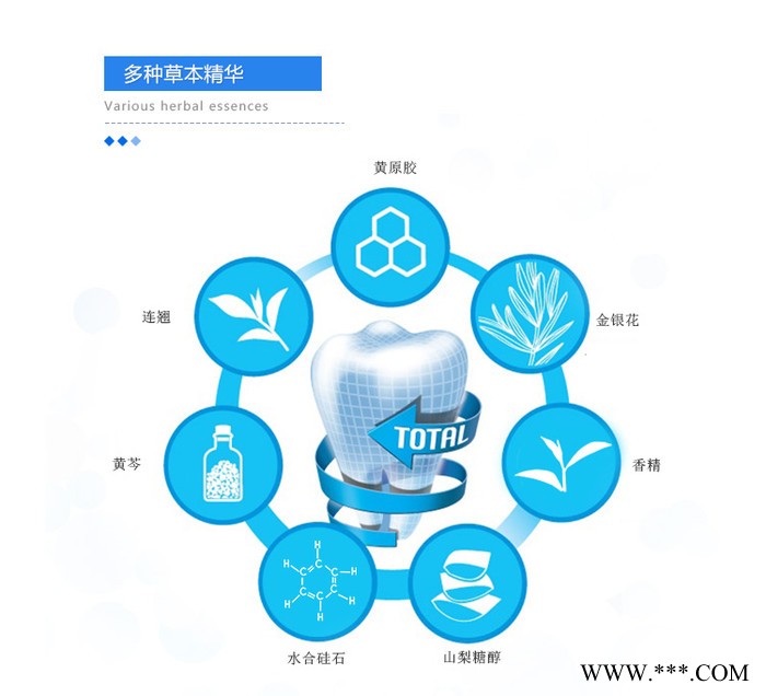 冬青薄荷型90g 修正草本牙膏 与双黄连主要成分相同 保护牙龈 防止病从口入 招代理 批发 礼品渠道图6