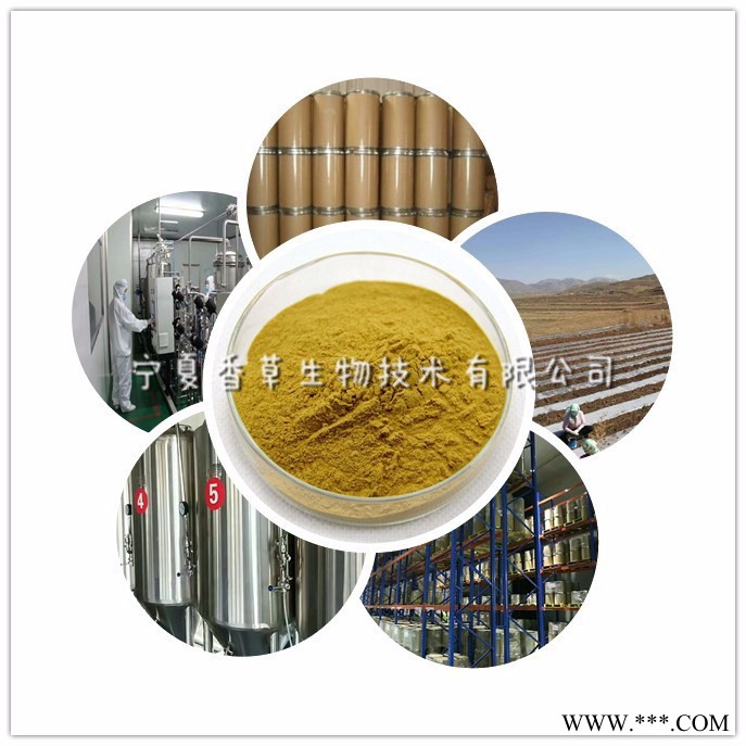 黄芩粉97% 宁夏黄芩萃取粉化妆品原料  黄芩浓缩粉水溶型图3